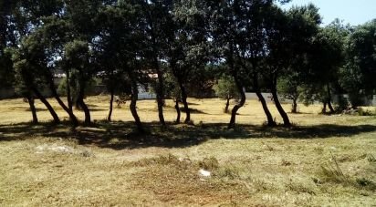Land in Malhou, Louriceira e Espinheiro of 5,620 m²