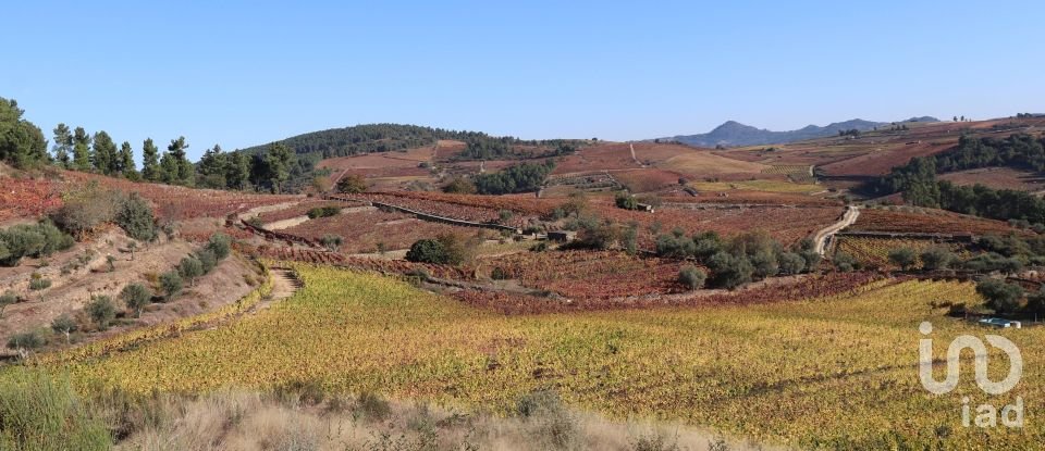 Agricultural land in Castedo e Cotas of 25,000 m²