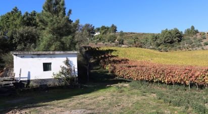 Agricultural land in Castedo e Cotas of 25,000 m²