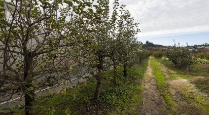 Maison T1 à Leiria, Pousos, Barreira e Cortes de 218 m²