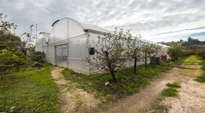 Maison T1 à Leiria, Pousos, Barreira e Cortes de 218 m²