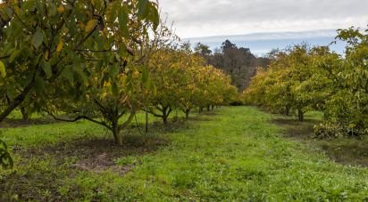 Maison T1 à Leiria, Pousos, Barreira e Cortes de 218 m²