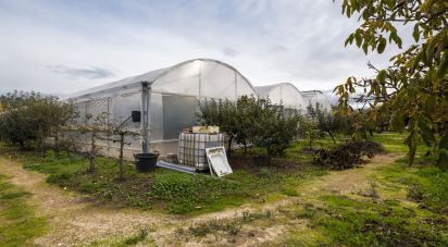 Maison T1 à Leiria, Pousos, Barreira e Cortes de 218 m²