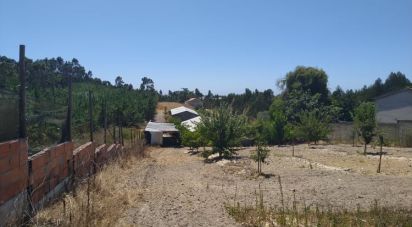 Agricultural land in Silveira of 5,244 sq m