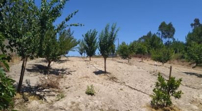 Agricultural land in Silveira of 5,244 m²
