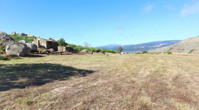 Ferme T0 à Corujeira e Trinta de 36 870 m²