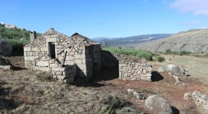 Ferme T0 à Corujeira e Trinta de 36 870 m²