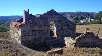Ferme T0 à Corujeira e Trinta de 36 870 m²