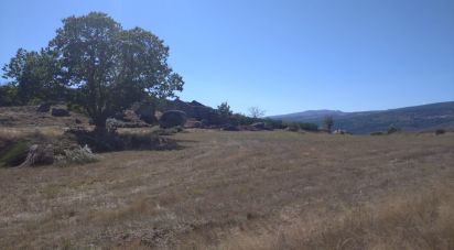 Ferme T0 à Corujeira e Trinta de 36 870 m²