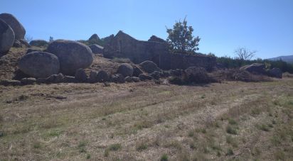 Ferme T0 à Corujeira e Trinta de 36 870 m²