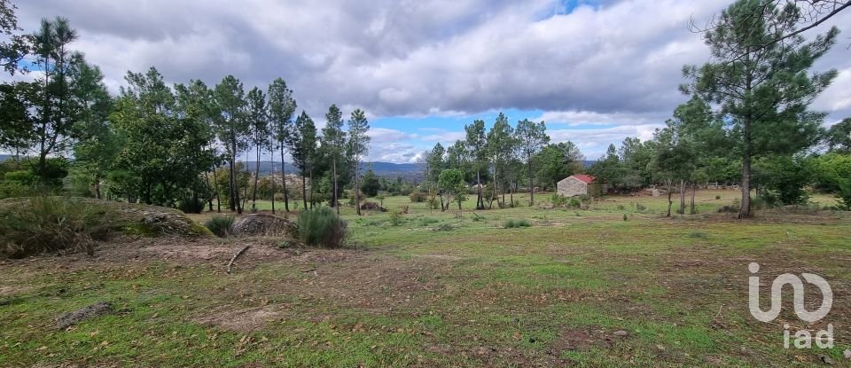 Farm T0 in Ribamondego of 22,538 m²