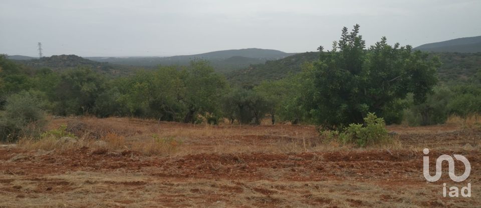 Land in São Brás de Alportel of 2,420 m²