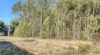Land in Caxarias of 502 m²