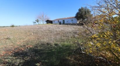 Land in Brinches of 2,750 m²