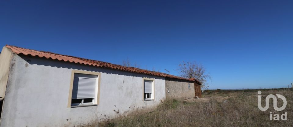 Land in Brinches of 2,750 m²