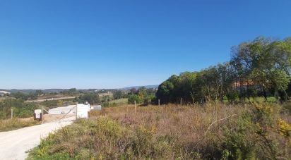 Building land in Maiorga of 3,923 m²