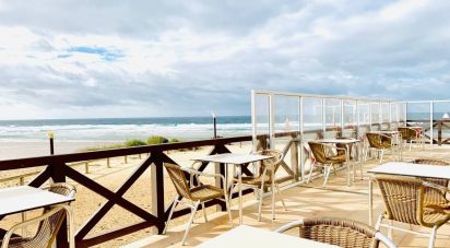 Restaurant à Aljezur de 180 m²