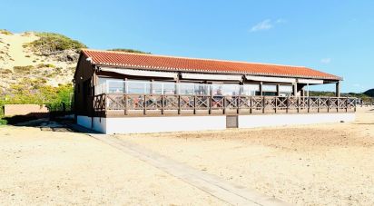 Restaurant à Aljezur de 180 m²