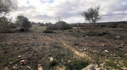 Land in Mexilhoeira Grande of 13,800 m²