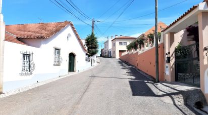 Other surface in Cadaval e Pêro Moniz of 52 m²