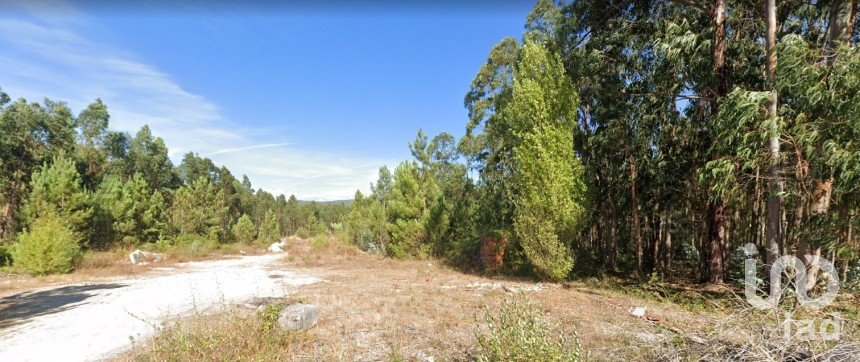 Land in Pelariga of 8,604 m²