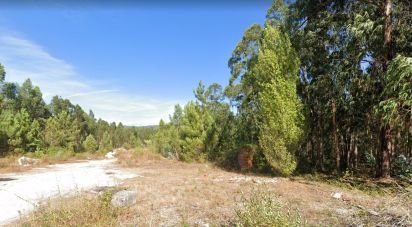 Land in Pelariga of 8,604 m²