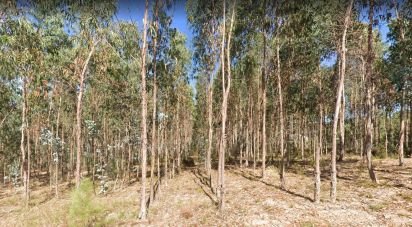 Land in Pelariga of 8,604 m²