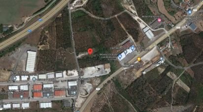 Land in Pelariga of 8,604 m²