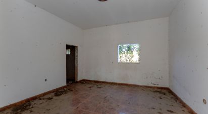 Maison T0 à Gâmbia-Pontes-Alto da Guerra de 142 m²