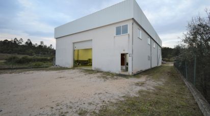 Hangar à Podentes de 459 m²
