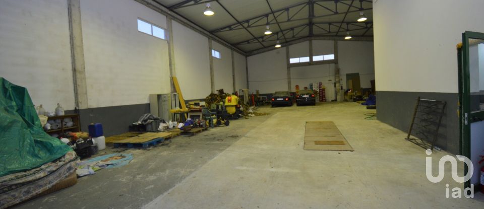 Warehouse in Podentes of 459 m²