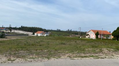 Building plot in Monte Real e Carvide of 3,000 m²