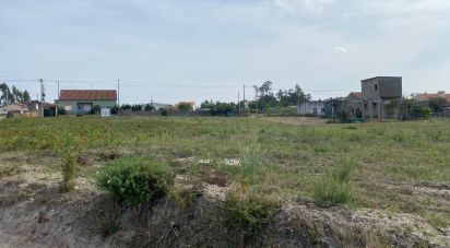Building plot in Monte Real e Carvide of 3,000 m²
