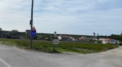 Building plot in Monte Real e Carvide of 3,000 m²