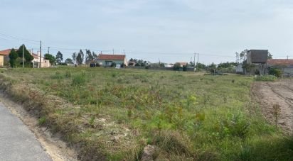 Building plot in Monte Real e Carvide of 3,000 m²