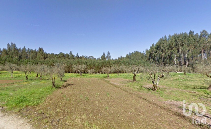 Land in Cantanhede e Pocariça of 4,050 m²