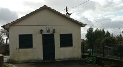 Casa tradicional T2 em Carvalhais e Candal de 59 m²