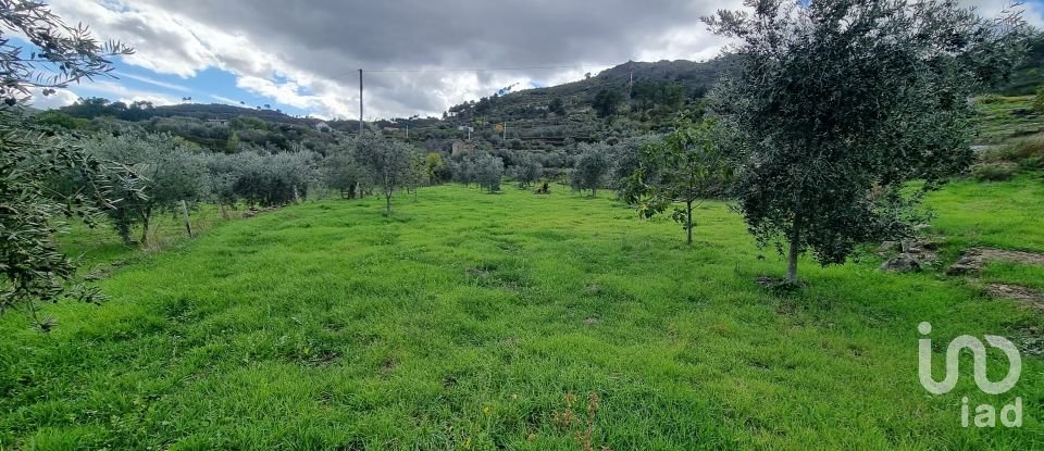Farm T1 in Aldeia Viçosa of 5,999 m²