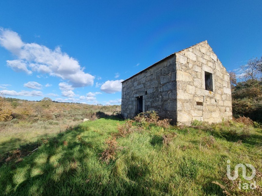 Farm T0 in Juncais, Vila Ruiva e Vila Soeiro do Chão of 85,000 m²