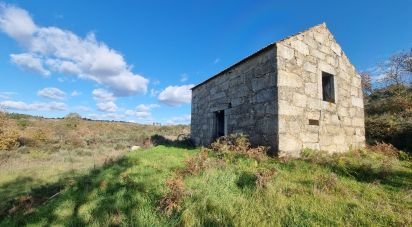 Farm T0 in Juncais, Vila Ruiva e Vila Soeiro do Chão of 85,000 m²