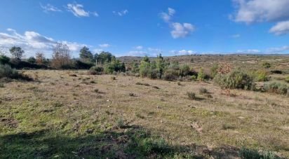 Farm T0 in Juncais, Vila Ruiva e Vila Soeiro do Chão of 85,000 m²