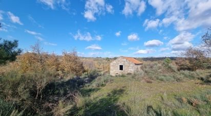 Farm T0 in Juncais, Vila Ruiva e Vila Soeiro do Chão of 85,000 m²