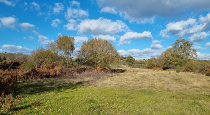 Farm T0 in Juncais, Vila Ruiva e Vila Soeiro do Chão of 85,000 m²