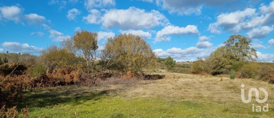 Farm T0 in Juncais, Vila Ruiva e Vila Soeiro do Chão of 85,000 m²