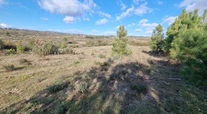 Farm T0 in Juncais, Vila Ruiva e Vila Soeiro do Chão of 85,000 m²