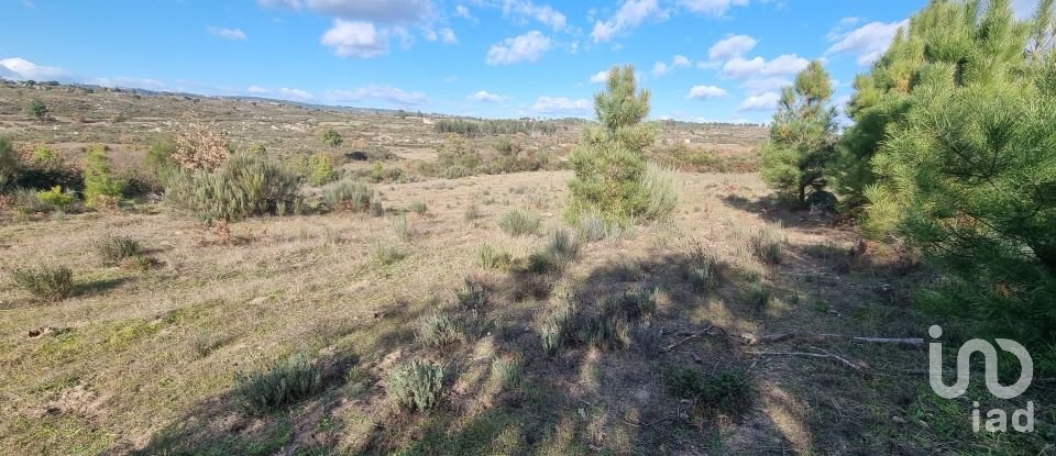 Farm T0 in Juncais, Vila Ruiva e Vila Soeiro do Chão of 85,000 m²
