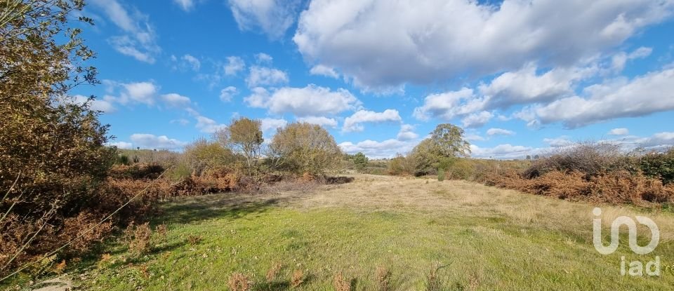 Farm T0 in Juncais, Vila Ruiva e Vila Soeiro do Chão of 85,000 m²
