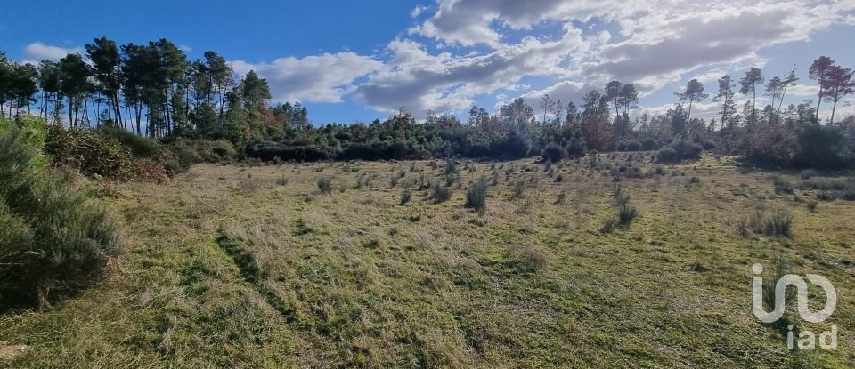 Farm T0 in Juncais, Vila Ruiva e Vila Soeiro do Chão of 85,000 m²