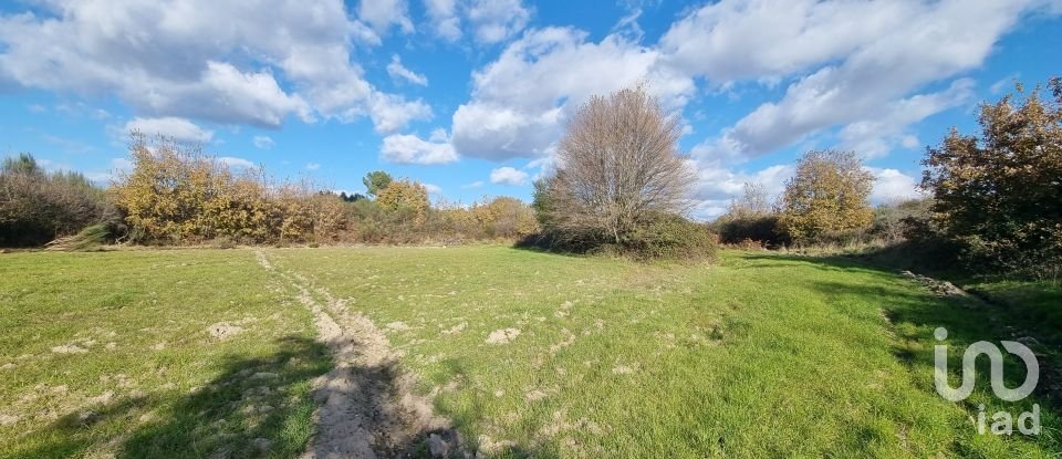 Farm T0 in Juncais, Vila Ruiva e Vila Soeiro do Chão of 85,000 m²