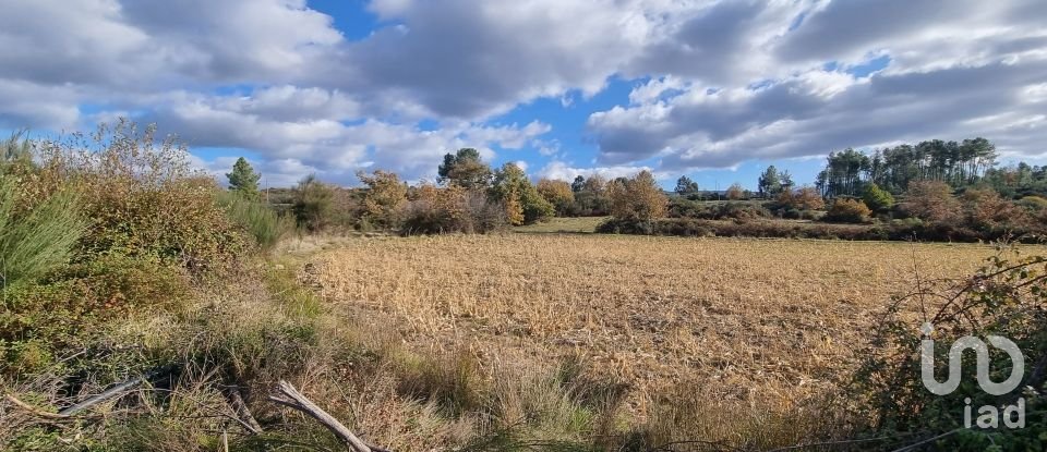 Farm T0 in Juncais, Vila Ruiva e Vila Soeiro do Chão of 85,000 m²
